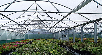 nationalpolytunnels