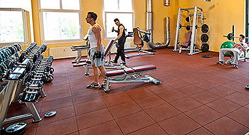 Just Fit