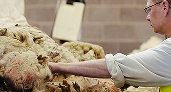 H Dawson Sons & Co. (Wool) Ltd.