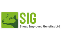 Sheep Improved Genetics Ltd.