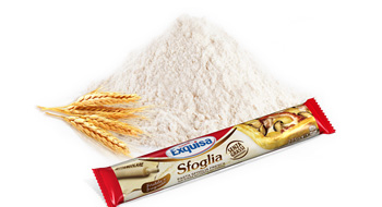 exquisa