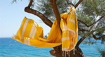 Textil Confección