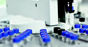 high-quality plant extracts