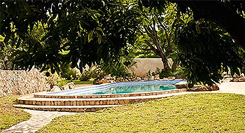 Mutare