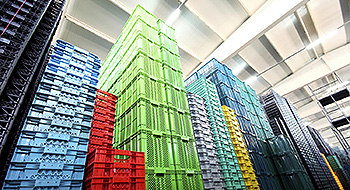 Distribution