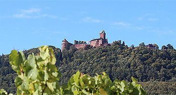 vigneron indépendant