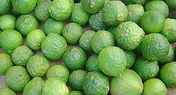 Hotels and Accomadation, Gastronomy, Catering, Canteens,Consumers´ Goods,Agriculture,Foodstuffs, Luxury Food,  Beverage Industry,Postal Services, Shipping, Transport, Warehousing, Logistics,Packaging Industry