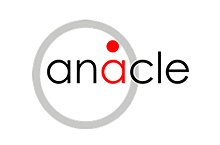 Anacle Systems Limited
