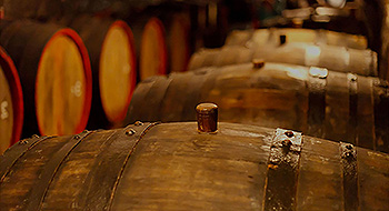 Hotels and Accomadation, Gastronomy, Catering, Canteens,Consumers´ Goods,Agriculture,Foodstuffs, Luxury Food,  Beverage Industry,Food Processing Industry,Alcoholic Beverage Industry, Wineries, Viticulture
