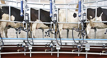 DeLaval
