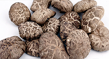 Importer and exporter of dried seafood, dried vegetable and dried fruit