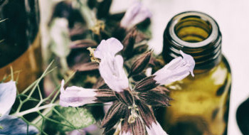 Accademia di Naturopatia