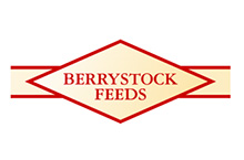 Berrystock Feeds