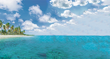 Vision Cruise