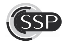 SSP Politool GmbH & Co. KG