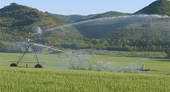 Pivot