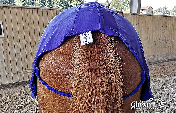 Ghibli Horse Underwear