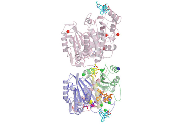 Chemroutes