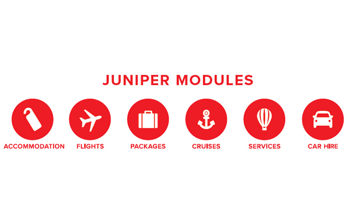 juniper consulting