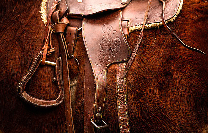 Albi Equestrian