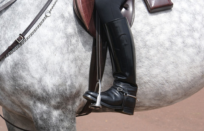 Equestrian