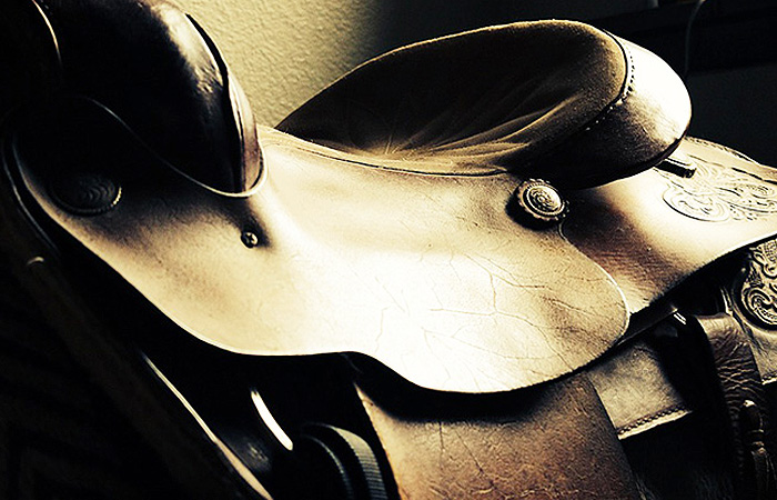 Albi Equestrian
