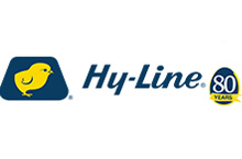 HY-Line Italia Srl
