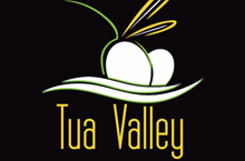 Azeite Tua Valley