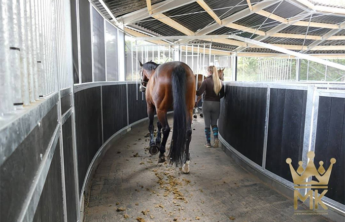 Cheval Liberte
