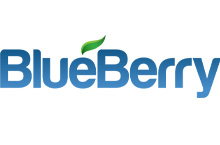 Blue Berry Llc