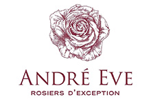 Eve (Les Roses Anciennes d'Andre)