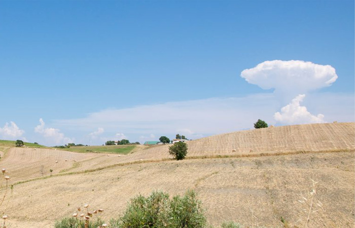 Fattoria