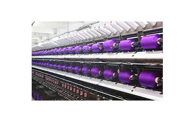 shree polyester industries