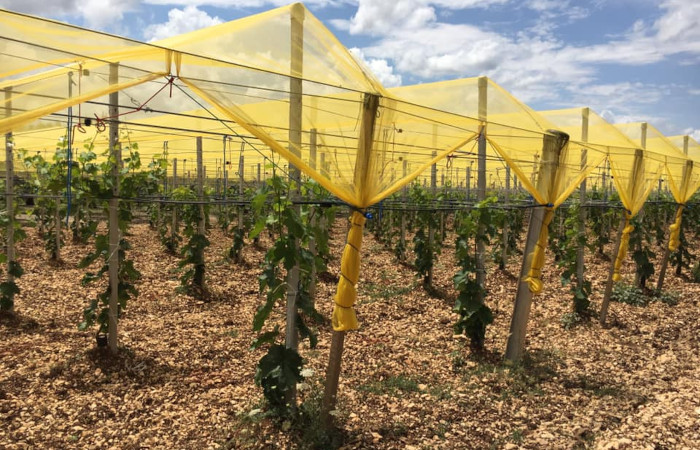 Produzione Sistemi di Irrigazione