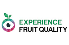 Experience Fruit Quality - AVOS