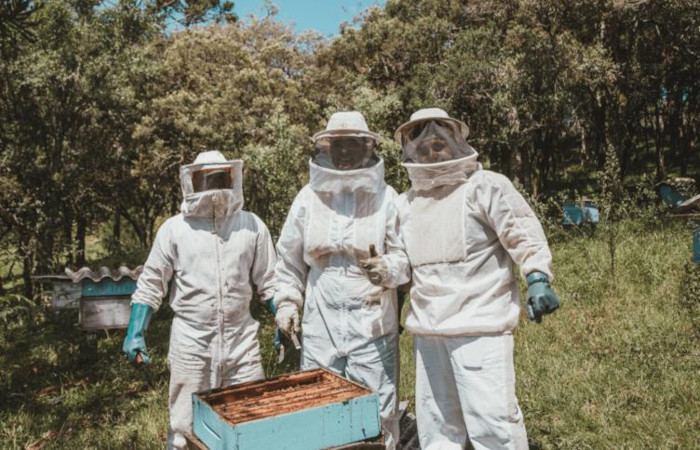 Biosurveillance