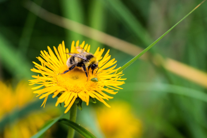 Environnement