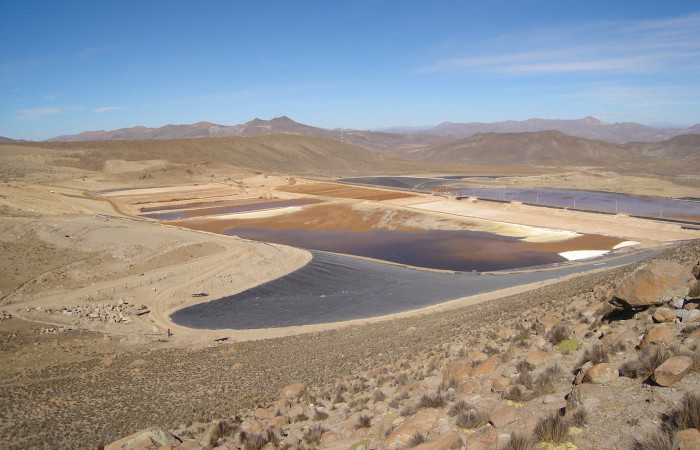 Geomallas