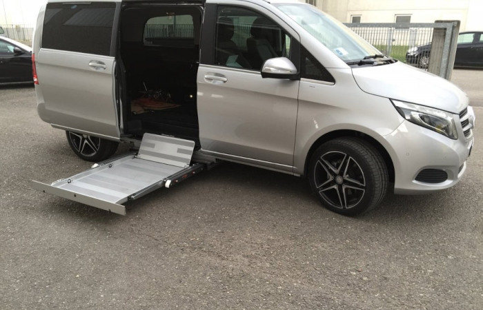 Minibus Danmark