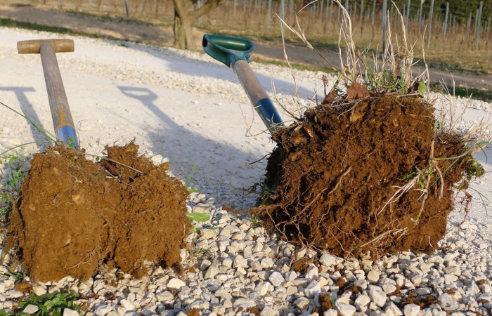Agriculture Régénérative