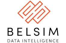 Belsim Engineering