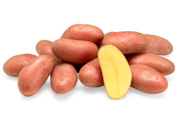 Potato