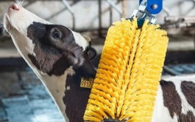 Optimisation Confort Animal