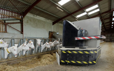 Optimisation Confort Animal