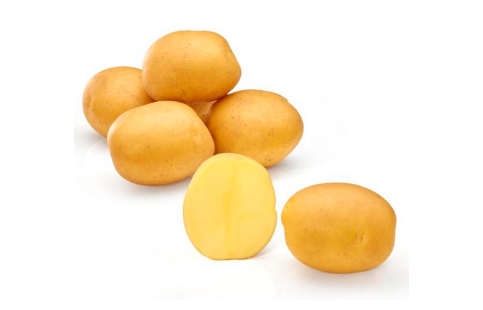 Seed