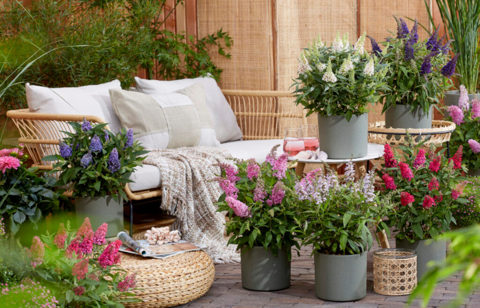 Plant Breeder