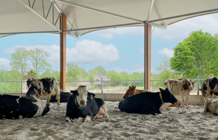 Dairy Farmers
