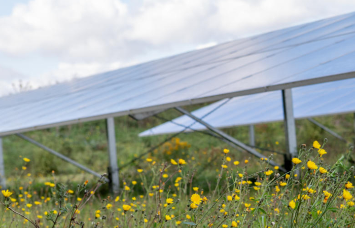 Bürgersolarpark