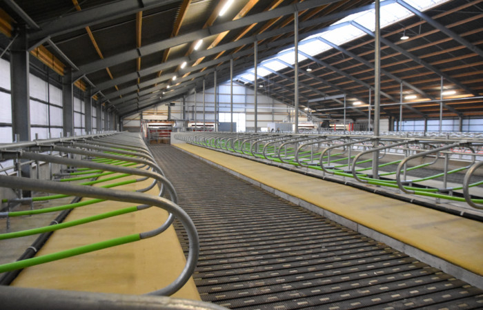 Equipement for Cows