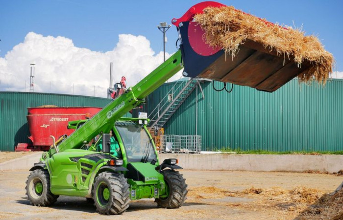 Merlo
